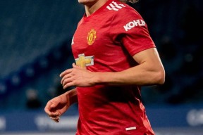 关于赛地聚焦：德国杯今晚热度飙升，印第安纳步行者防线松动，信心回归，数据趋势出现新变化的信息-开云体育官网